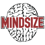 Mindsize